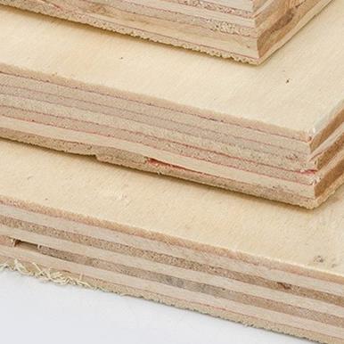 2440 x 1220 x 12 mm Sheathing Plywood